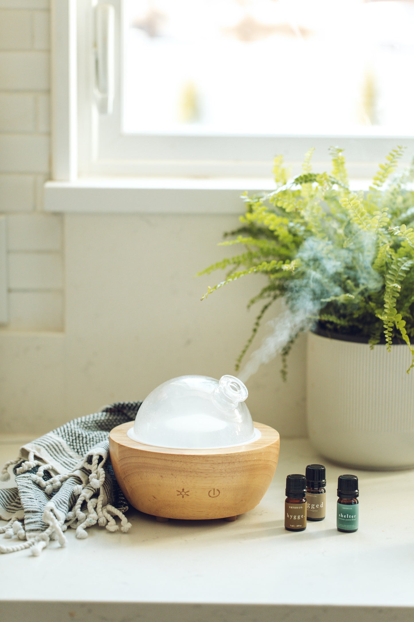 Glass Dome + Real Wood Essential Oil Diffuser